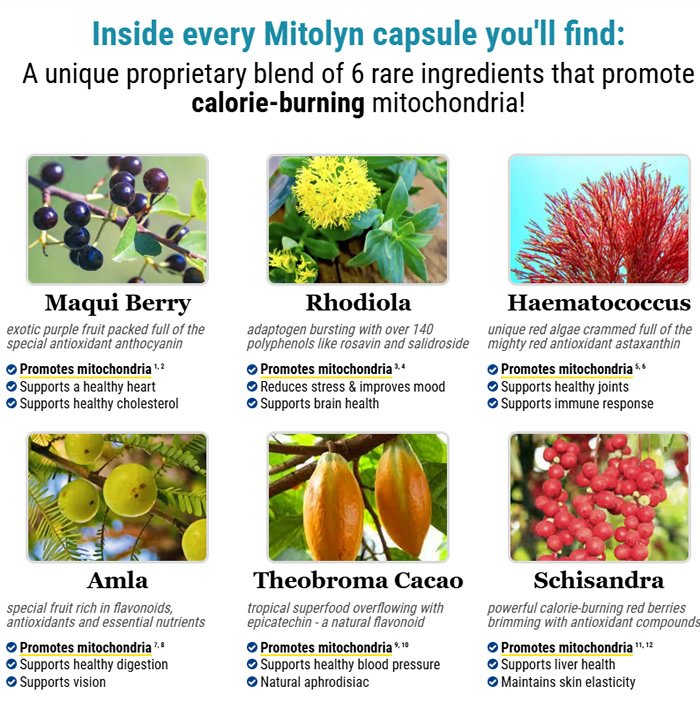 Mitolyn Reviews and Complaints: What Consumers Are Reporting in 2026